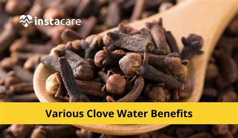 Various Clove Water Benefits To Know About