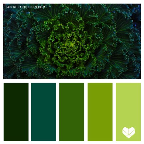 Color Palette: Gorgeous Green — Paper Heart Design