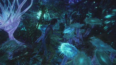 Bioluminescence - James Cameron's Avatar Wiki - Sam Worthington, Zoe Saldana