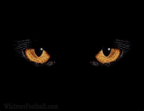 Black Panther Eyes Wallpapers - Top Free Black Panther Eyes Backgrounds - WallpaperAccess