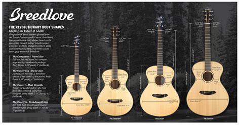 Different Types Of Acoustic Guitar Body Shapes, Sizes, 51% OFF