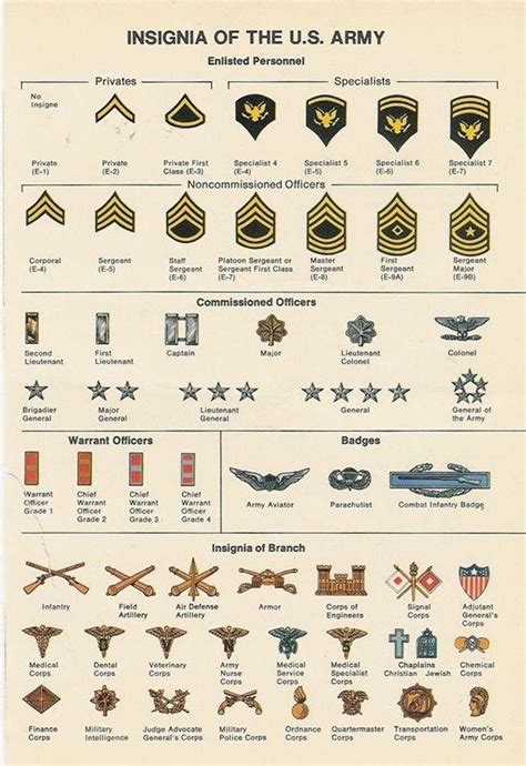 Insignia of the US Army guide : coolguides