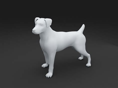 Jack Russell Terrier Dog Model 3D model 3D printable | CGTrader