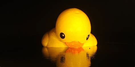 The Giant Rubber Duck Has Disappeared In China, All 54 Feet Of It | HuffPost