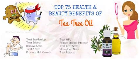 75 Health & Beauty Benefits Of Tea Tree Oil – Uses & Side Effects