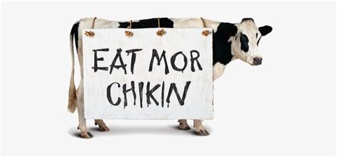 Chick Fil A Png - Chick Fil A Cow Transparent - 552x362 PNG Download - PNGkit