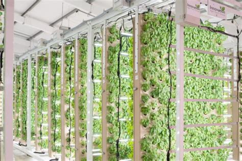 New 'revolutionary’ vertical farming tech unveiled - Hortimedia