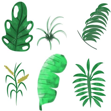 Hojas Tropicales PNG ,dibujos Hoja, Acuarelas, Conjunto PNG y PSD para Descargar Gratis | Pngtree