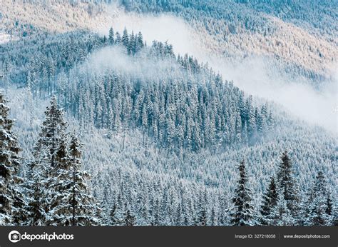 Scenic View Snowy Pine Trees White Fluffy Clouds Mountains — Stock Photo © HayDmitriy #327218058