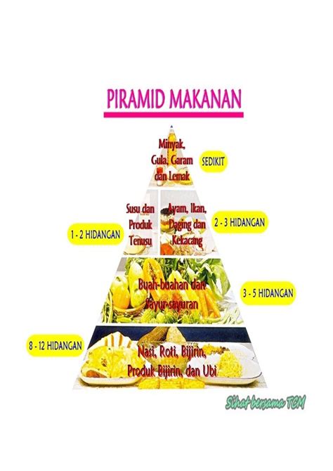 Piramid makanan