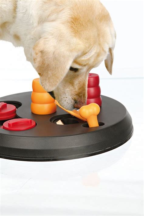 Best Dog Puzzle Toys - The Top Choices Reviewed