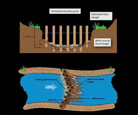 Cross sectional and planform view of a generic beaver dam analog... | Download Scientific Diagram