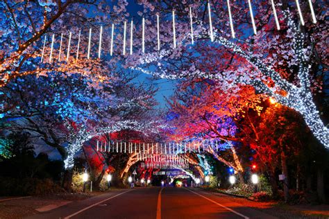 Jeju Island Light Garden