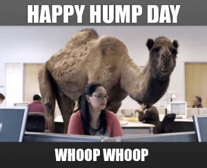 Hump Day Camel - Generate Status