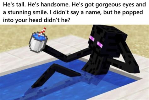 💜Endermen💜 : r/MinecraftMemes