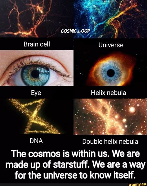 COSPIC LGOP Brain cell Universe Eye Helix nebula 'on DNA Double helix ...