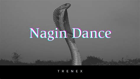 Nagin dance audio song free download - codertaia