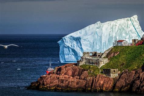 Gander, Newfoundland: the Canadian town that inspired Come from Away | RACV