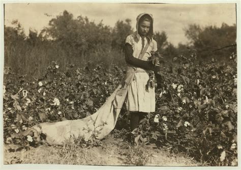 Picking Cotton circa 1916