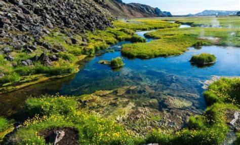 Iceland spring - travel in Iceland during Springtime with our agency