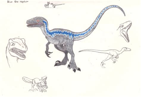 Blue-the-velociraptor-concept-art by debusscher62 on DeviantArt