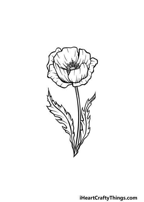 Poppy Flower Outline Drawing | Best Flower Site