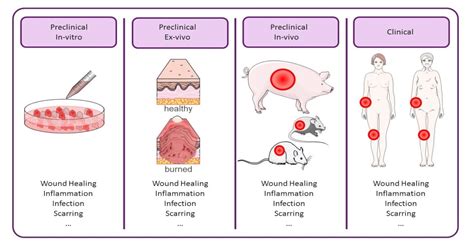 Medicina | Special Issue : Update on Acute and Chronic Wound Healing