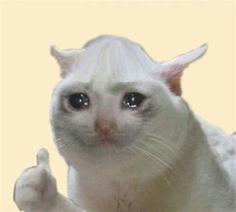 Sad Cat: Okay dude, I accept the name Pinhead Larry : r/sadcats