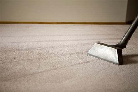 Dry Carpet Cleaning vs. Steam Cleaning: Pros and Cons | HGTV