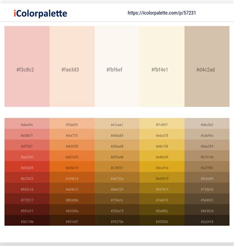 1 Latest Color Schemes with Champagne And Vanilla Color tone combinations | 2024 | iColorpalette