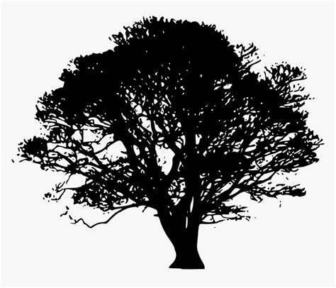 Tree Silhouette Oak Clip Art - Oak Tree Silhouette, HD Png Download , Transparent Png Image ...