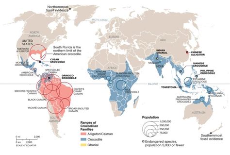 American Alligator Habitat Map