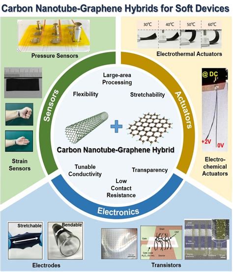 Applications of carbon nanotube (CNT)-graphene hybrids for soft... | Download Scientific Diagram