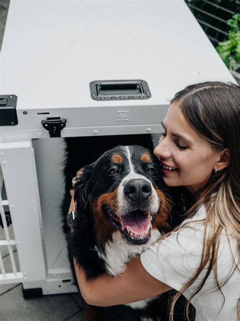 Impact Dog Crates | Strong & Safe Aluminum Dog Crates