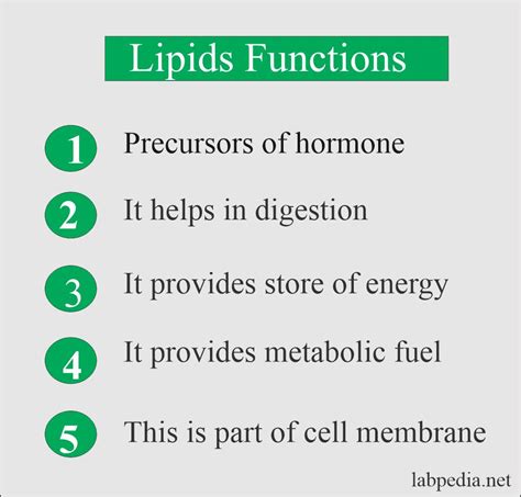 A Function of Lipids Include S Which of the Following