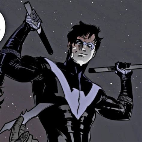 Nightwing icons. DC Comics icons. Batman Universe, Nightwing, Dc Comics ...