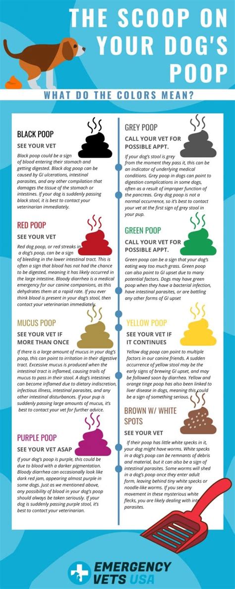 color of your poop chart stool color changes and chart what does it ...