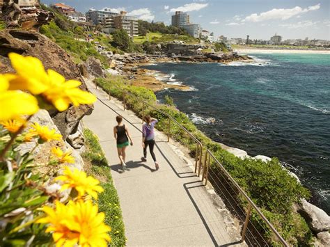 Bondi to Coogee Coastal Walk | Sydney, Australia - sydney.com