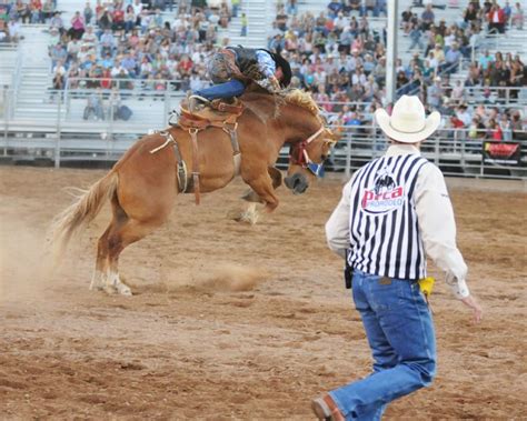 Pin by Eddie Carmichael on Bronc riding | Bronc riding, Rodeo horses, Beautiful horses