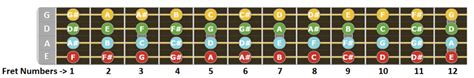 Notes on the Bass Guitar Fretboard Diagrams - Bass Player Center