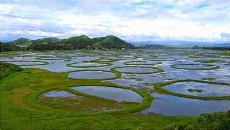 Amazing Manipur: Loktak Lake : The floating paradise of Manipur