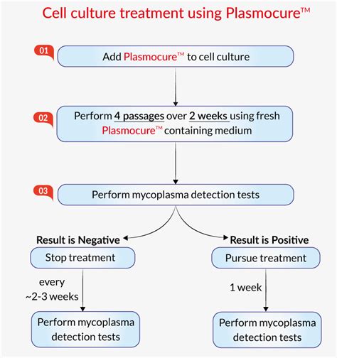 Plasmocure | Elimination of Resistant Mycoplasma