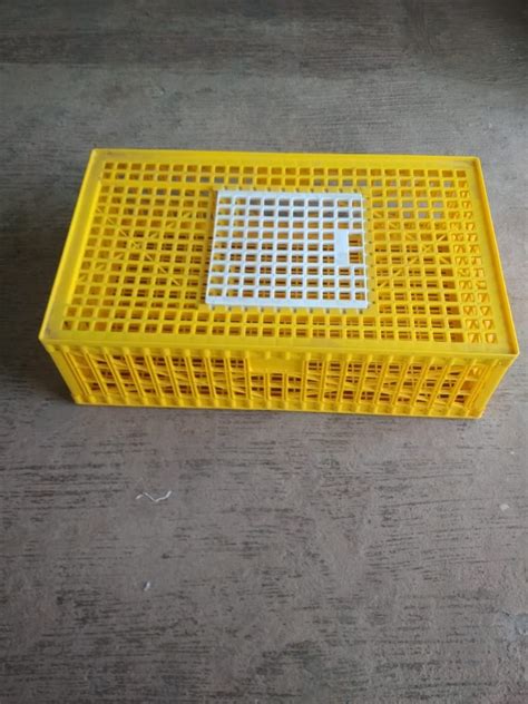 Plastic Live Chicken Crates, Rs 1450.00 /unit Surakshaa Industries | ID: 23119579555