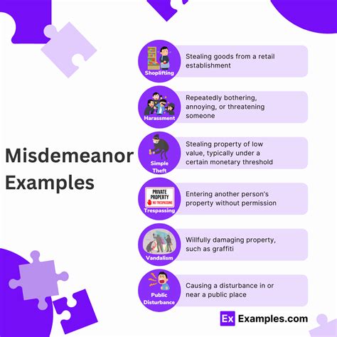 Misdemeanor - 20+ Examples, Meaning, Consequences, Penalties