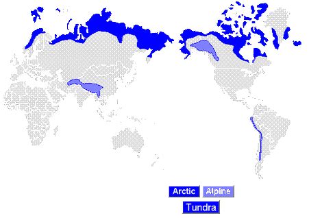 Locations and Landforms - Tundrawildlife