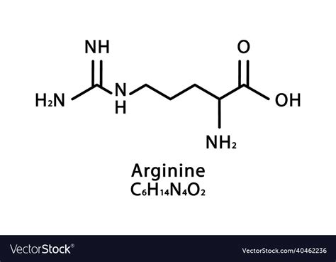 Arginine molecular structure l-arginine skeletal Vector Image