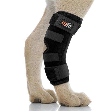 Buy REFIT Dog Leg Brace Hock (Ankle) Joint Support | Helps with Hind Leg Injuries, Sprains, Dog ...