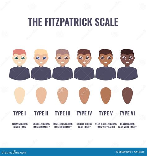 Fitzpatrick Skin Type Classification Scale in Men Stock Vector - Illustration of melanin ...