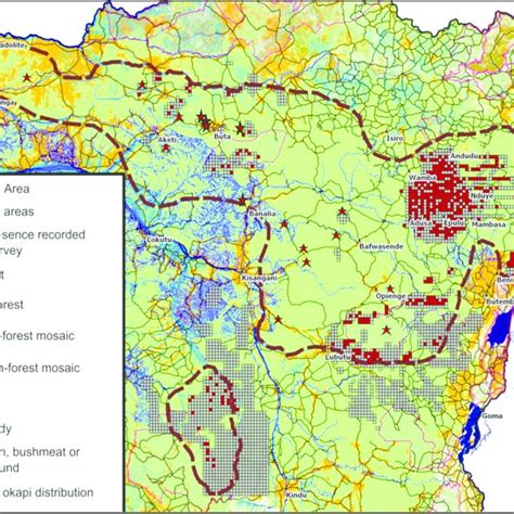 (PDF) Okapi (Okapia johnstoni) Conservation Strategy and Status Review