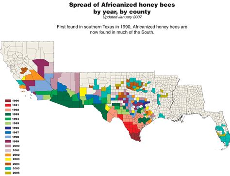 Free Updated Maps of Africanized Honey Bees Spread